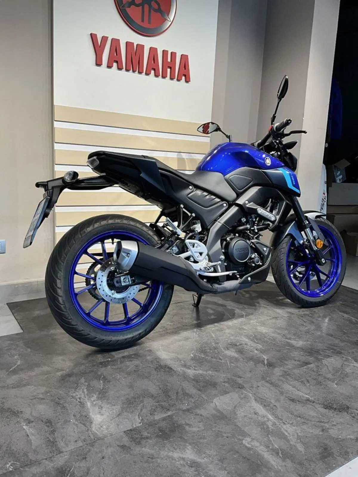 Yamaha MT-125 (2021 - 24) (6)