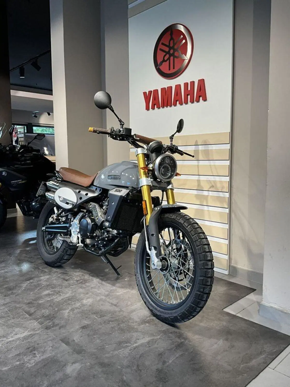 Fantic Motor Caballero 500 Scrambler Deluxe (2021 - 23) (2)