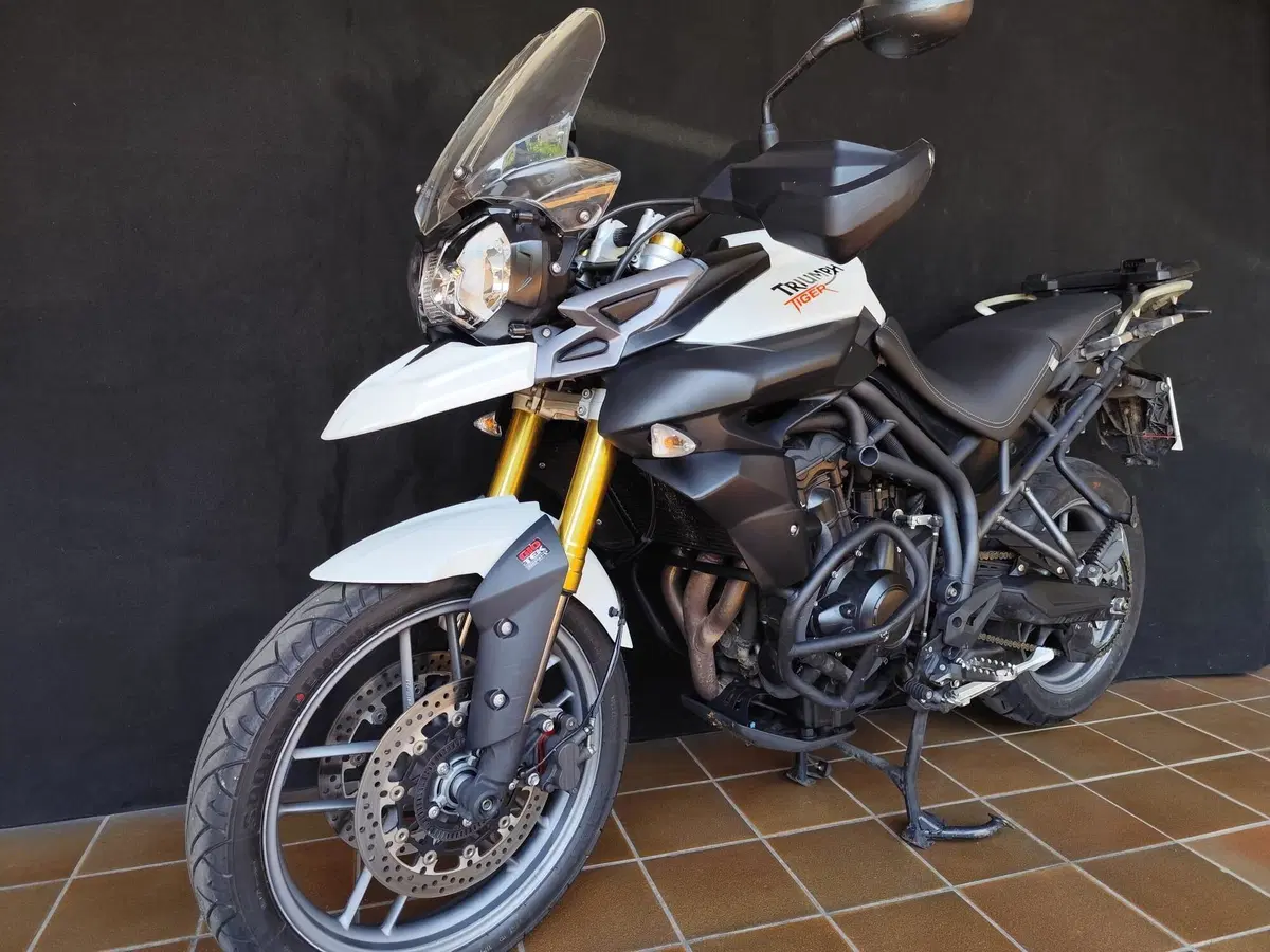 Triumph Tiger 800 ABS (2010 - 14) (6)
