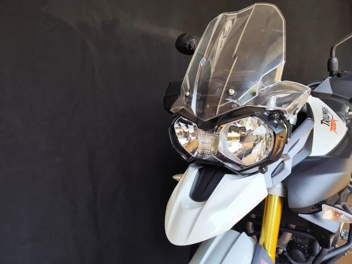 Triumph Tiger 800 ABS (2010 - 14) (8)