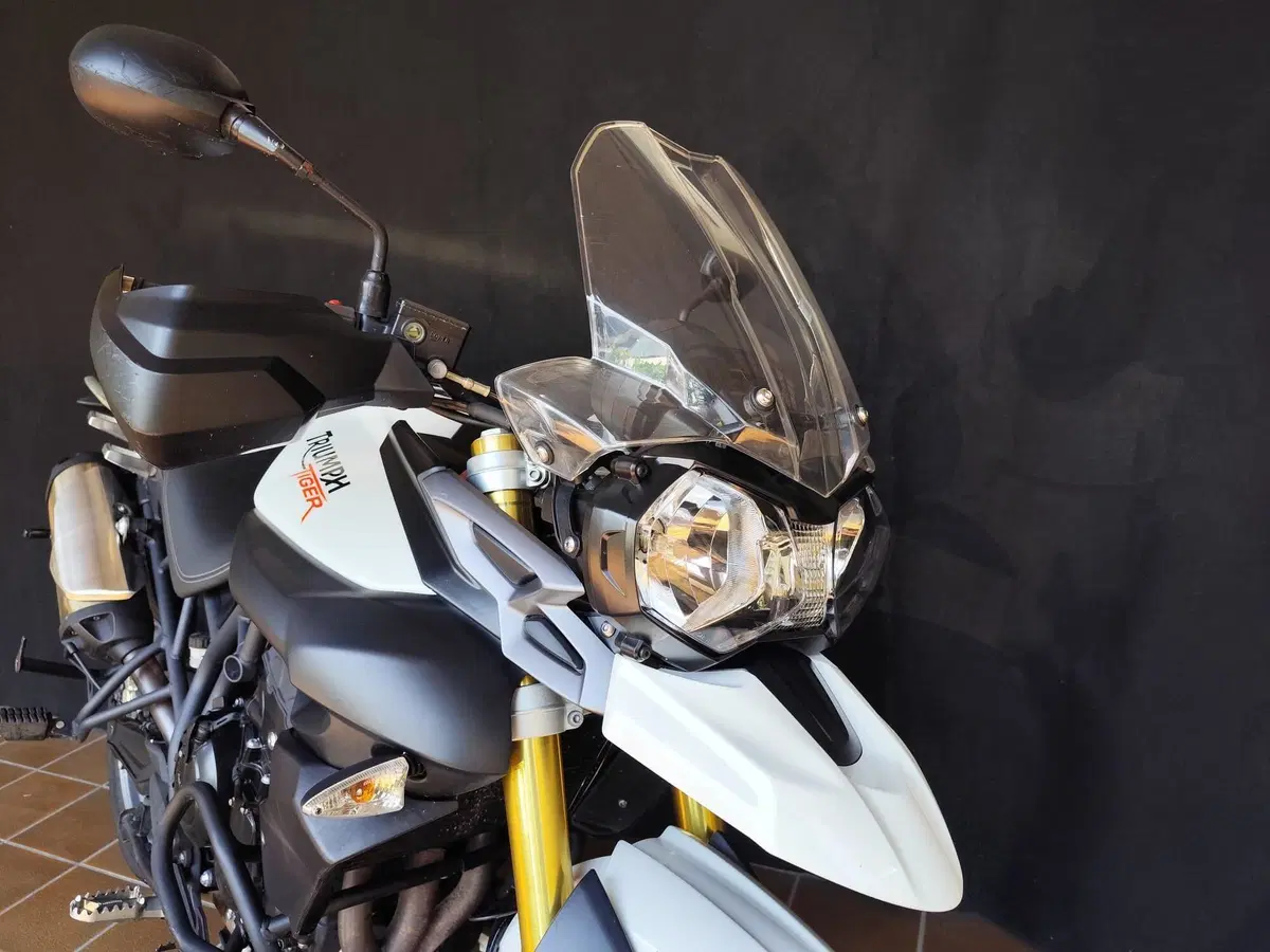 Triumph Tiger 800 ABS (2010 - 14) (10)