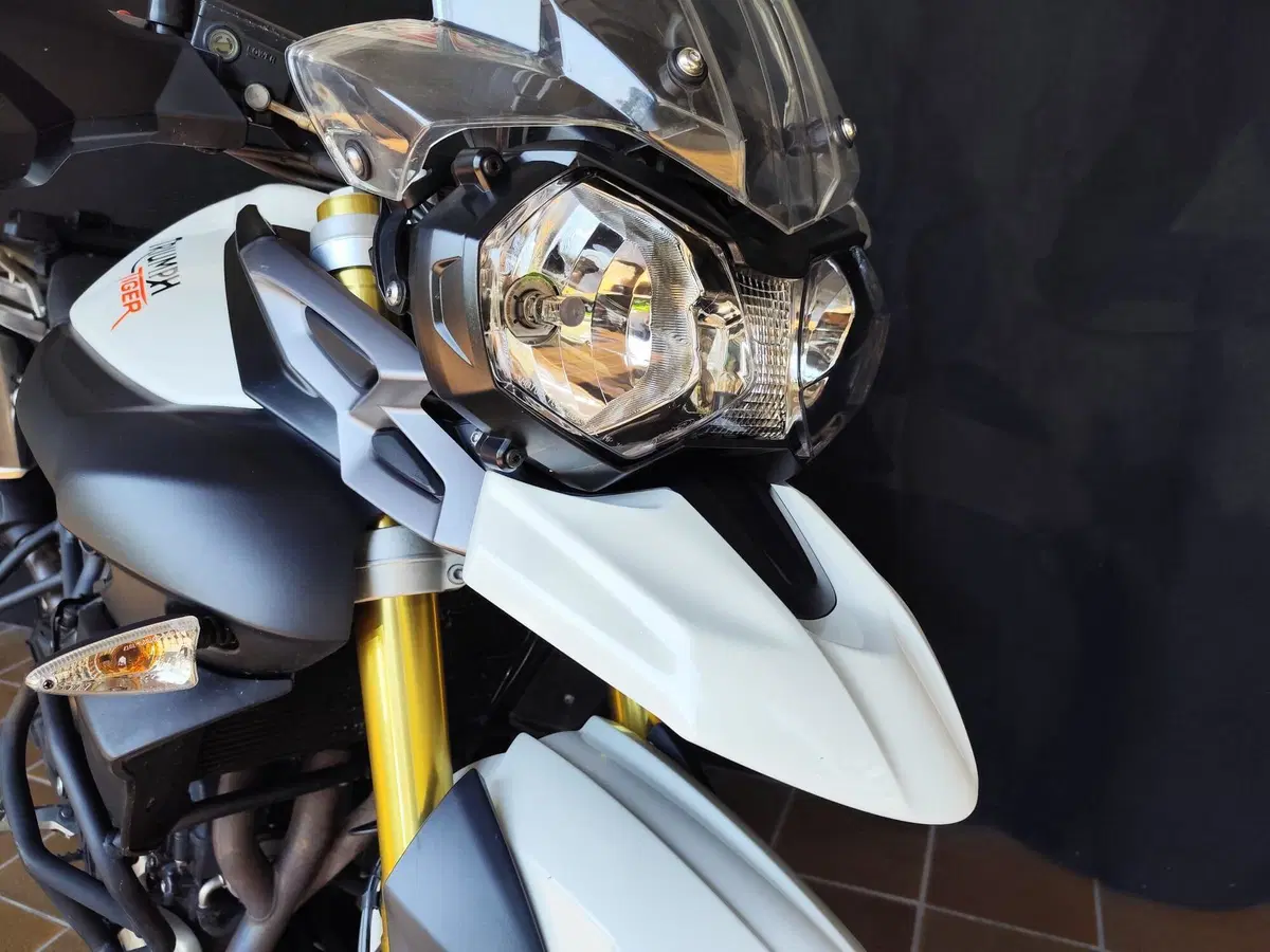 Triumph Tiger 800 ABS (2010 - 14) (11)