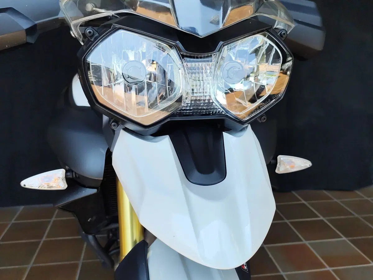 Triumph Tiger 800 ABS (2010 - 14) (12)