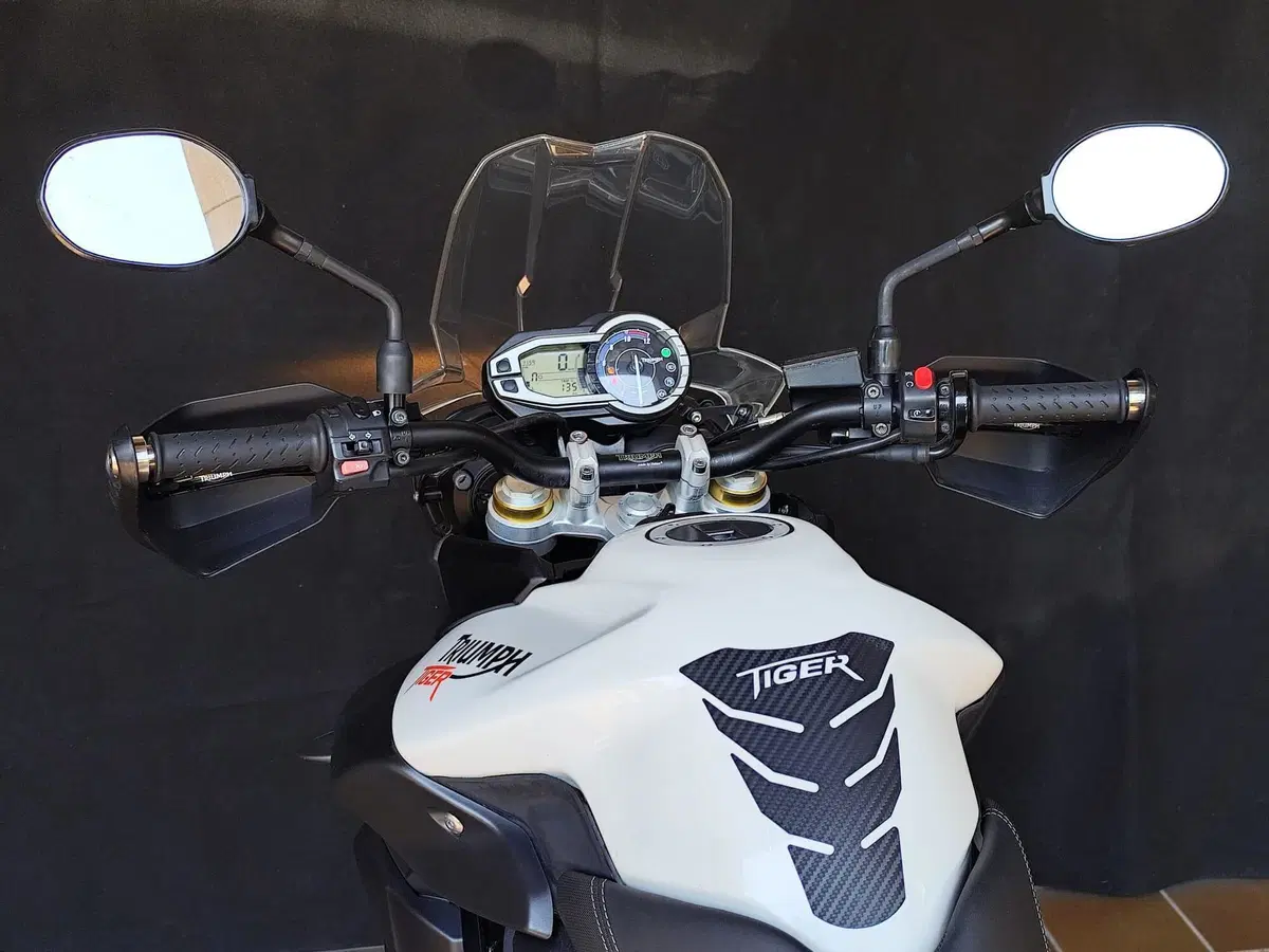 Triumph Tiger 800 ABS (2010 - 14) (14)