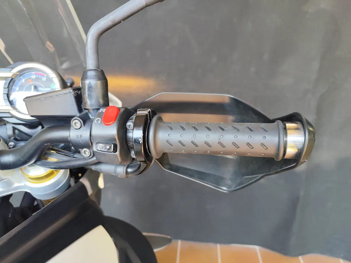 Triumph Tiger 800 ABS (2010 - 14) (15)