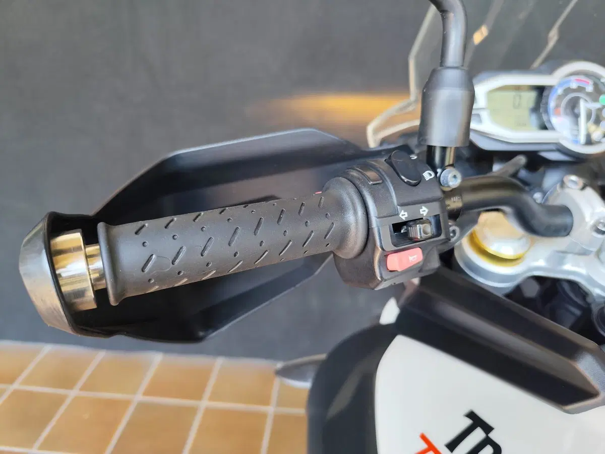 Triumph Tiger 800 ABS (2010 - 14) (16)