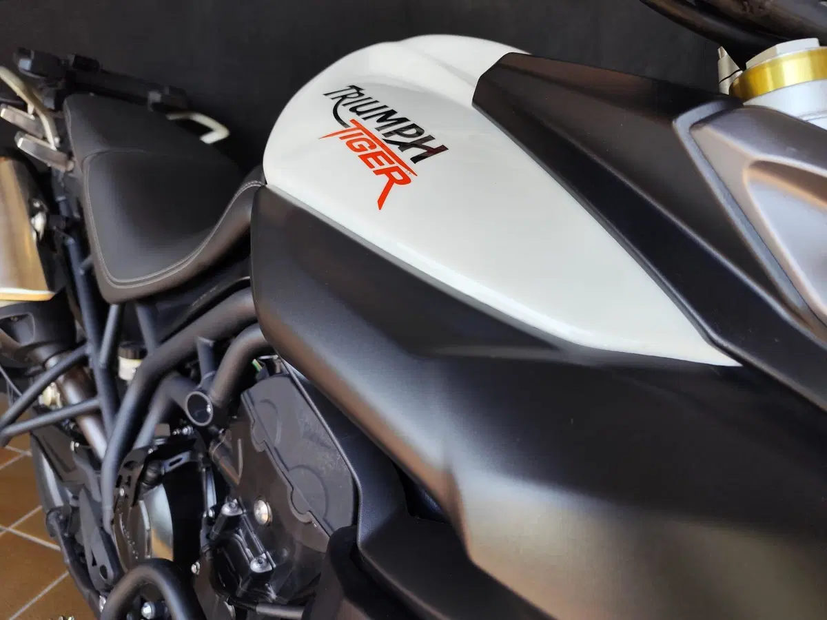 Triumph Tiger 800 ABS (2010 - 14) (18)