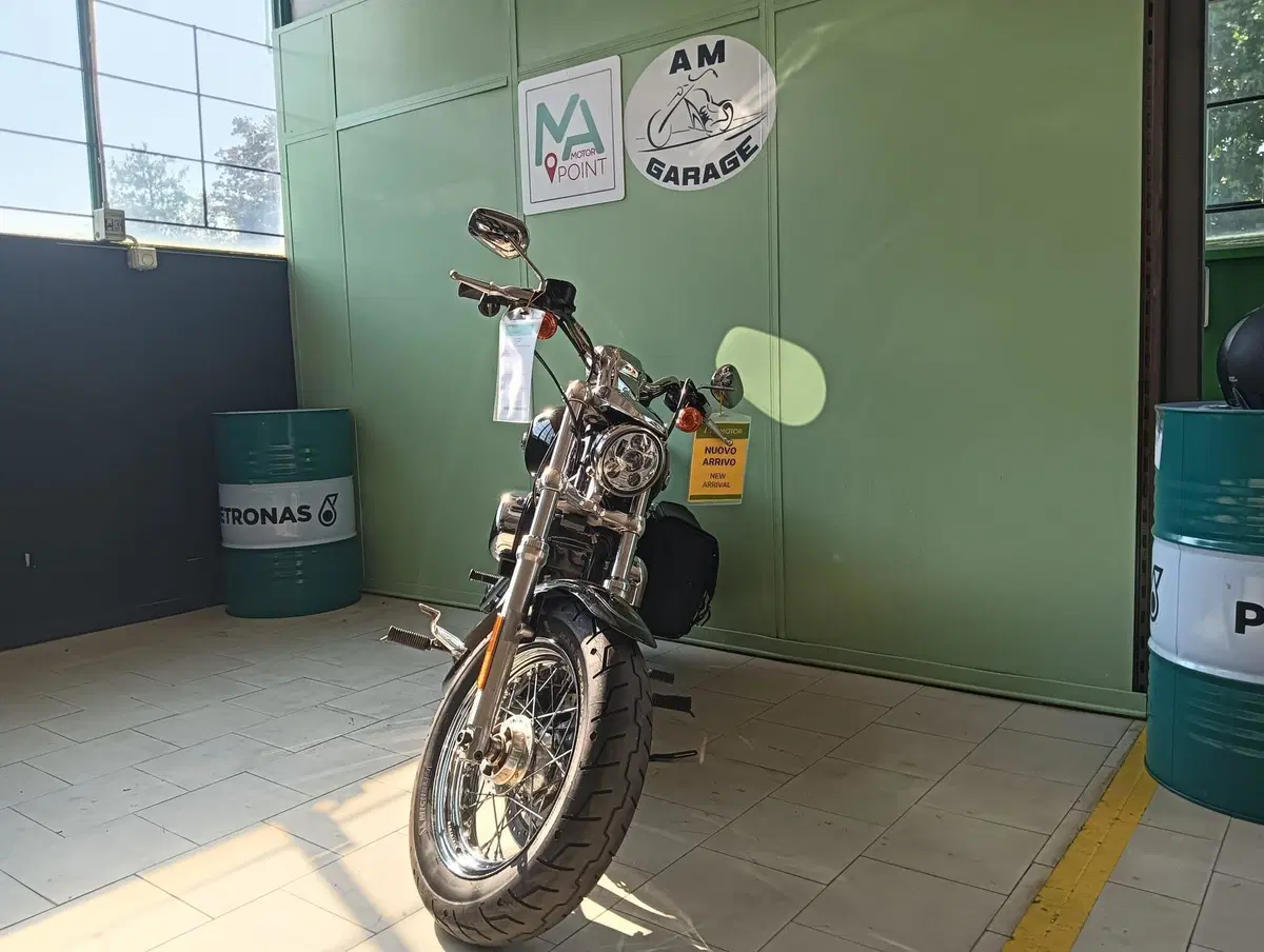 Harley-Davidson 1200 Custom ABS (2014 - 16) - XL 1200C (3)