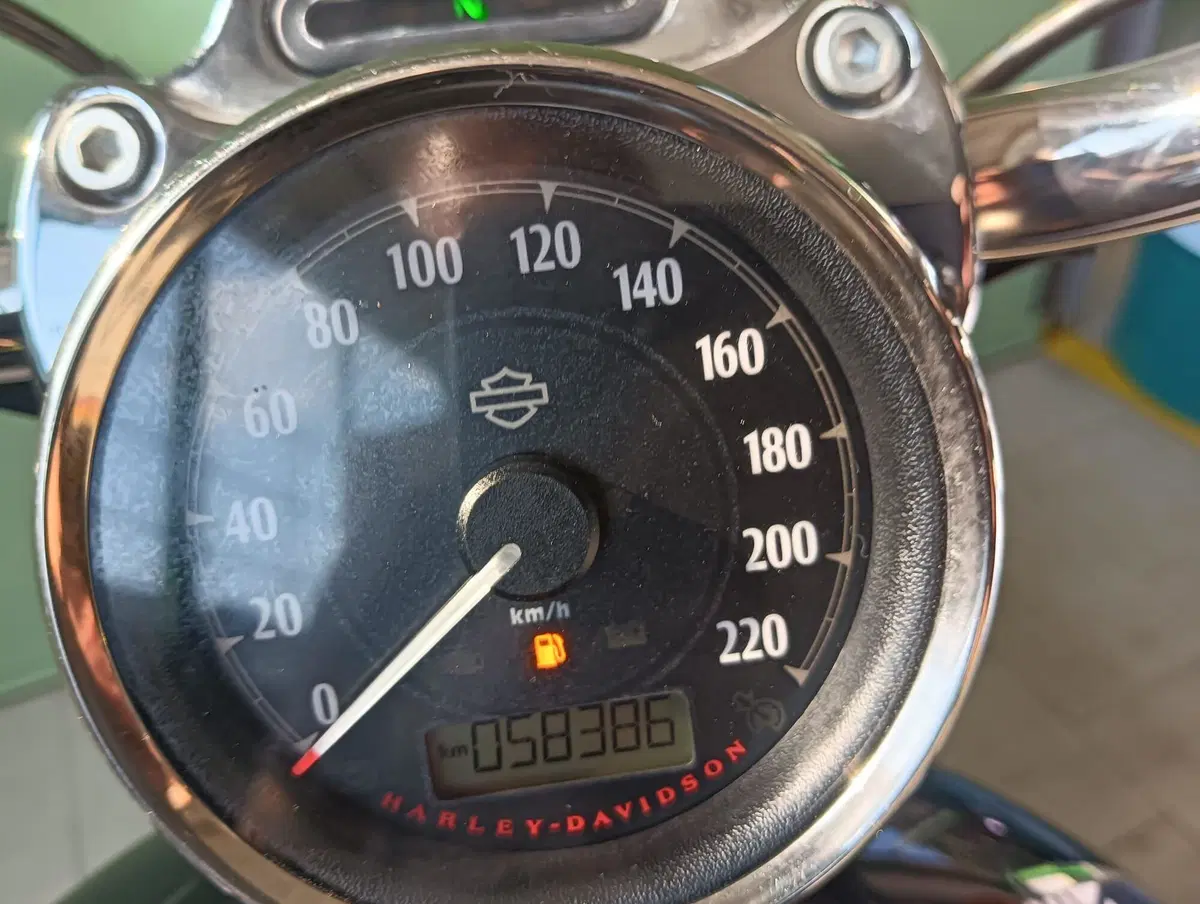 Harley-Davidson 1200 Custom ABS (2014 - 16) - XL 1200C (5)