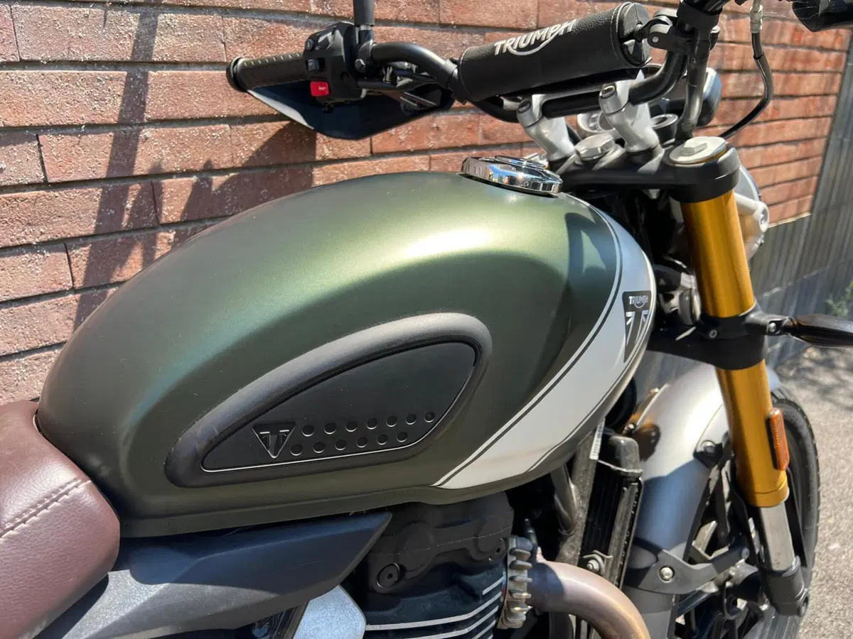 Triumph Scrambler 400 X (2024 - 26) (3)