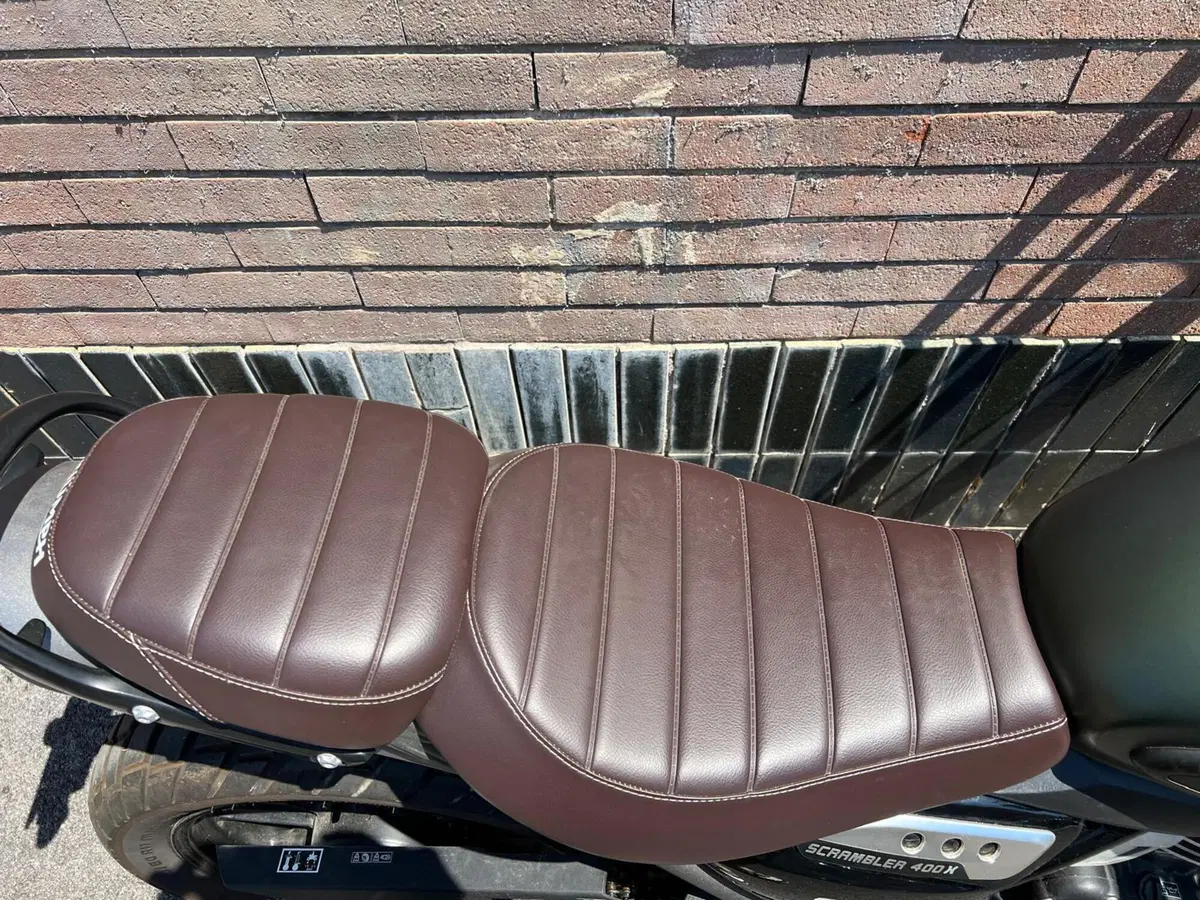 Triumph Scrambler 400 X (2024 - 26) (7)