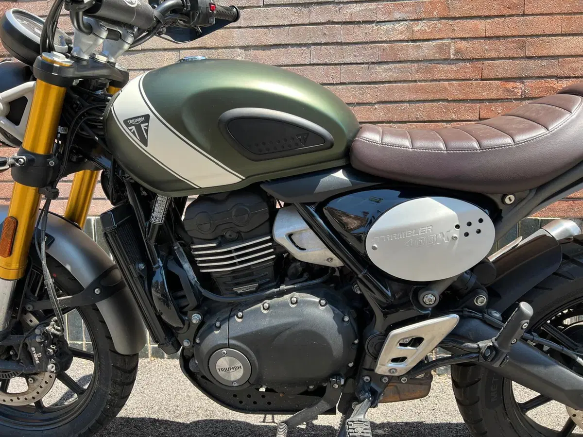Triumph Scrambler 400 X (2024 - 26) (13)