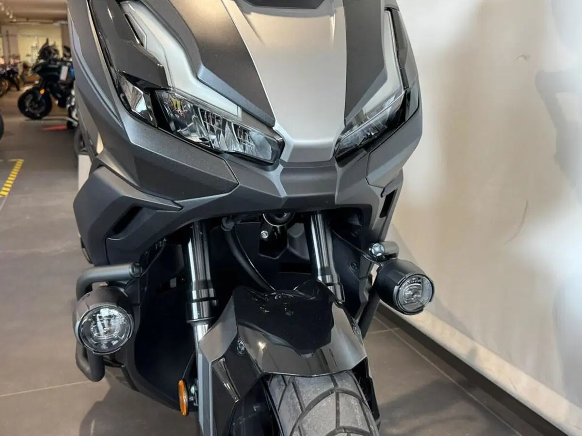 Honda ADV 350 (2022 - 24) (2)