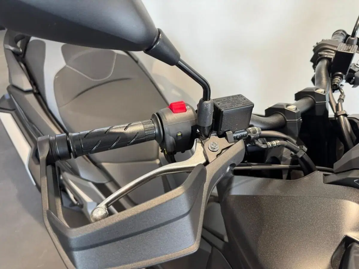 Honda ADV 350 (2022 - 24) (11)