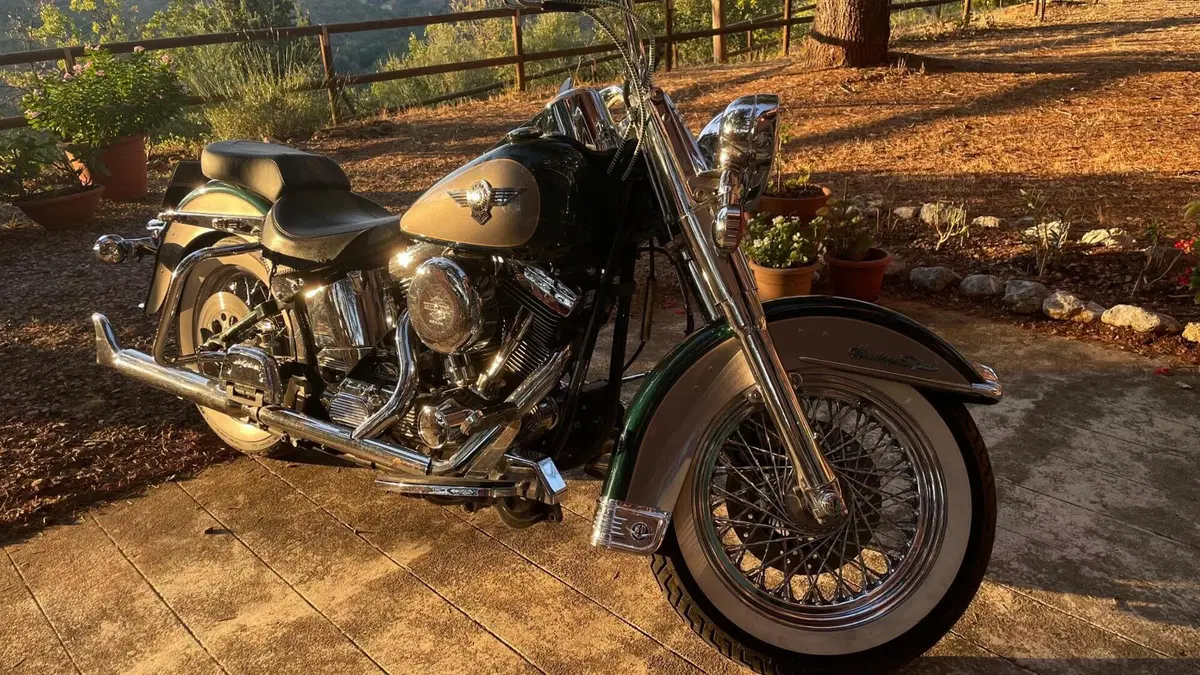 Harley-Davidson Heritage softail  (3)