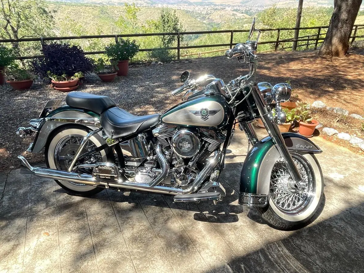 Harley-Davidson Heritage softail  (4)