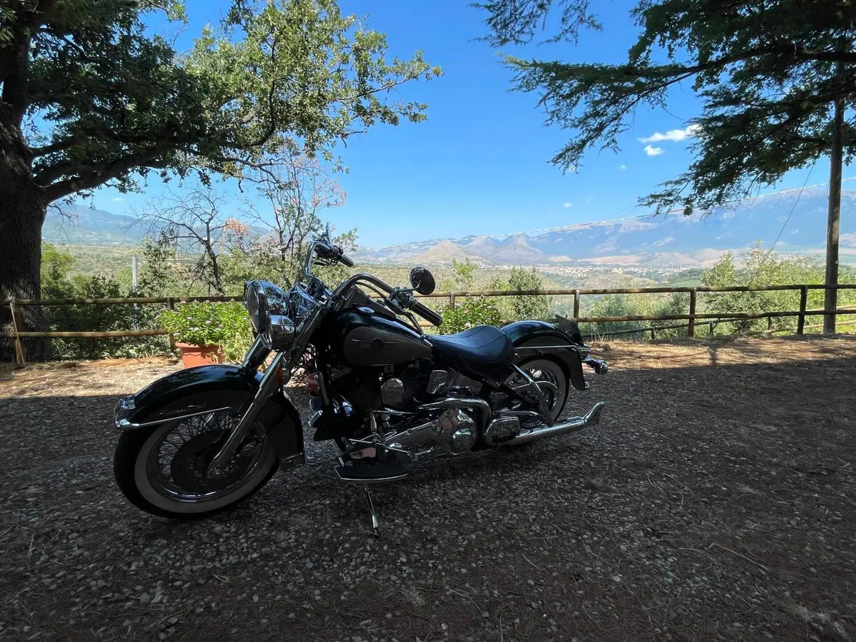 Harley-Davidson Heritage softail  (5)
