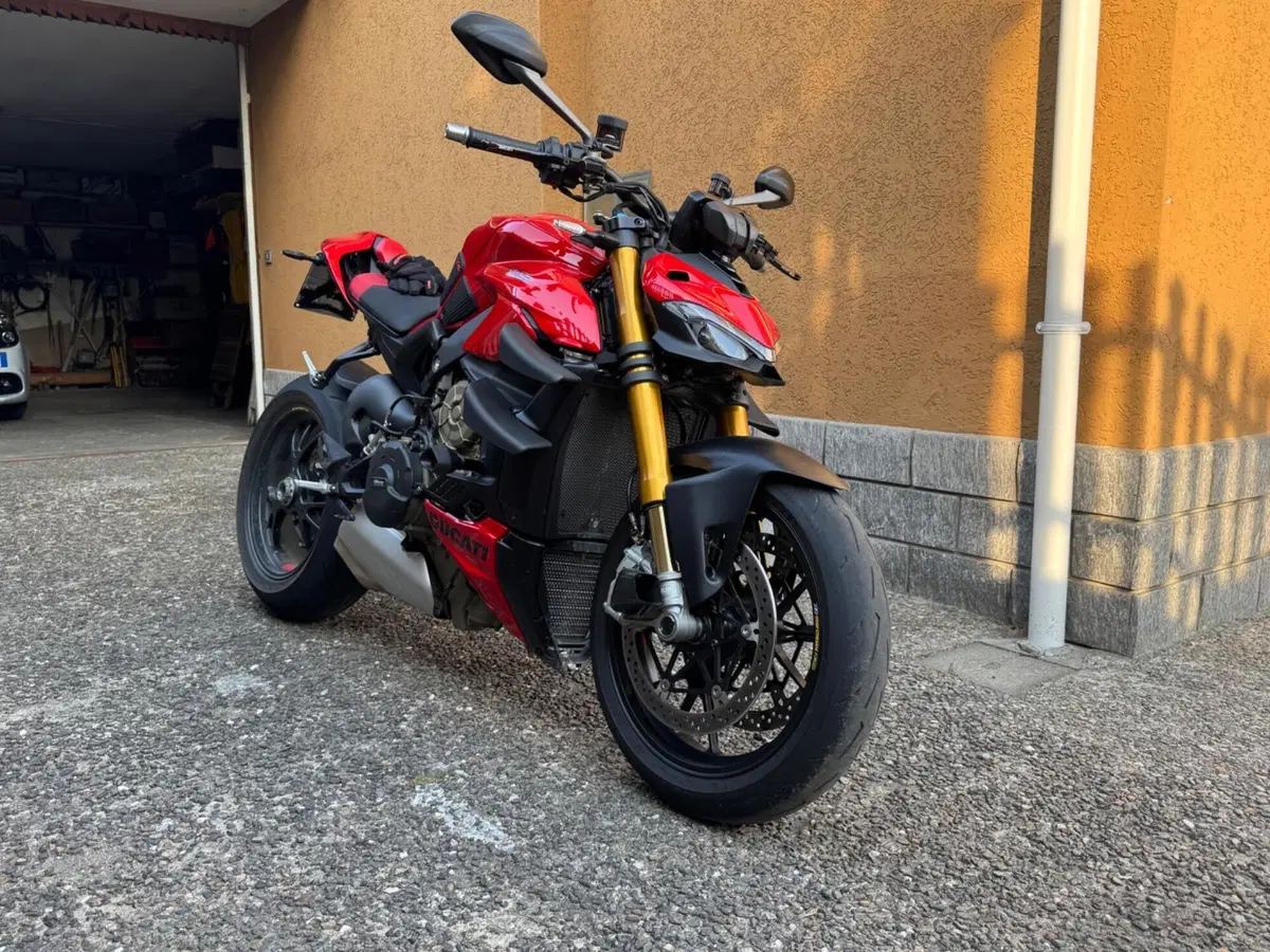 Ducati Streetfighter V4 S (2023 - 24) (3)