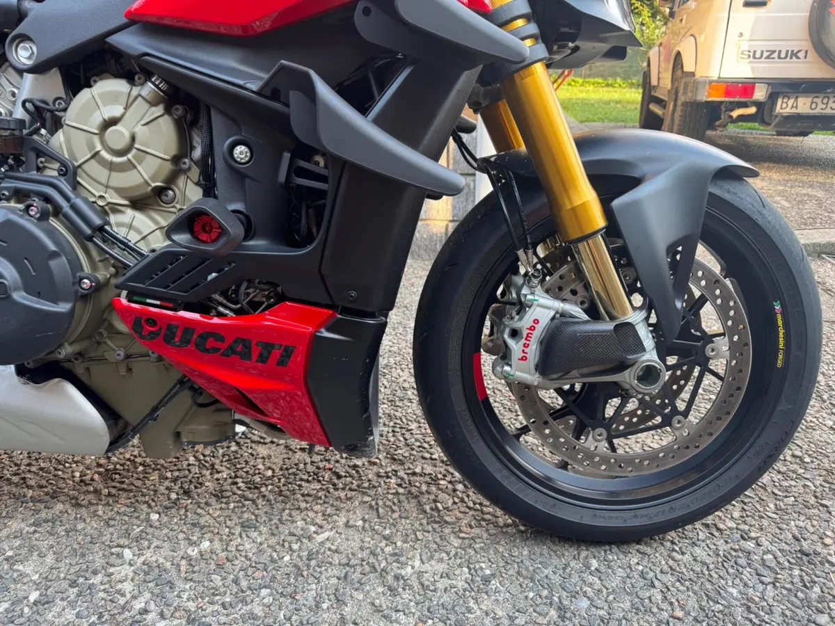 Ducati Streetfighter V4 S (2023 - 24) (7)