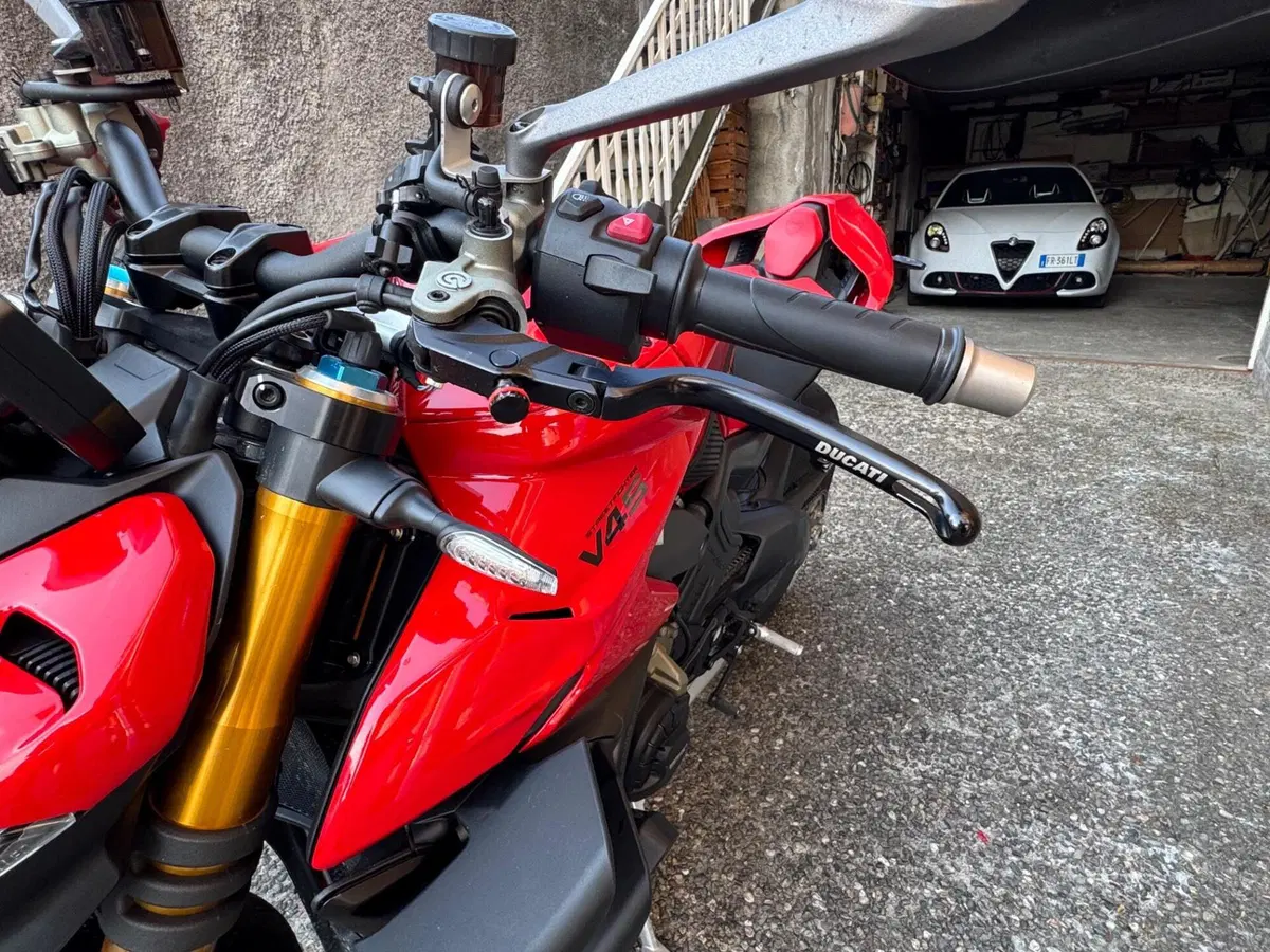 Ducati Streetfighter V4 S (2023 - 24) (8)