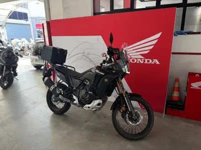 Yamaha T&eacute;n&eacute;r&eacute; 700 World Raid (2022 - 25) usata