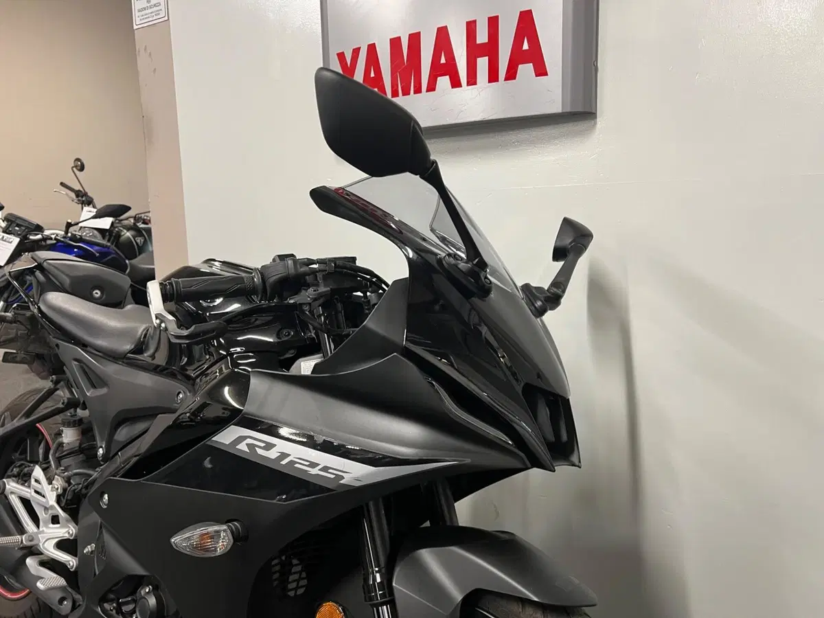 Yamaha YZF R125 (2023 - 26) (2)