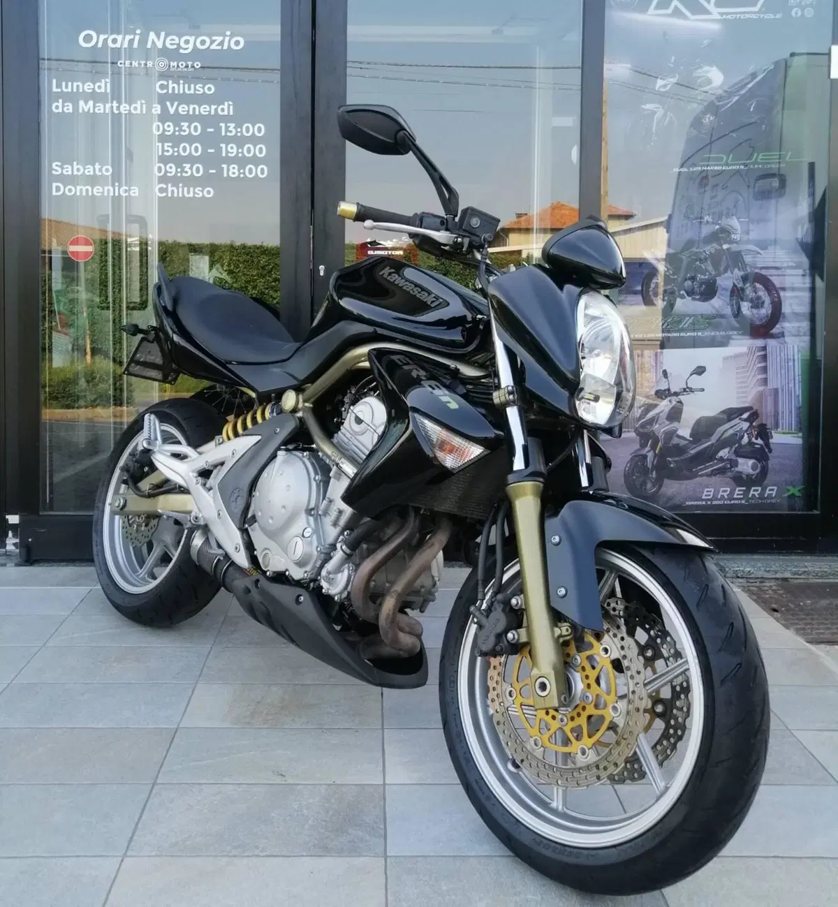 Kawasaki ER-6N (2005 - 08) (2)