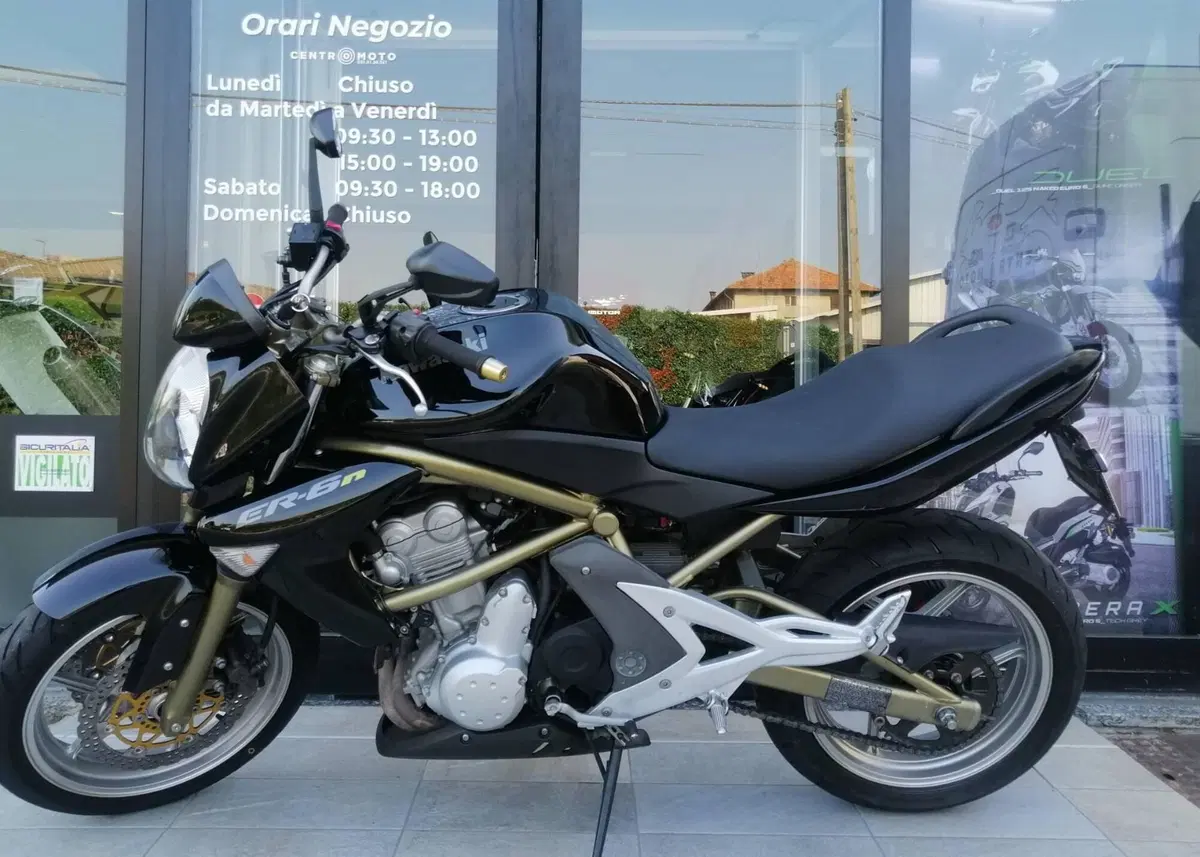 Kawasaki ER-6N (2005 - 08) (4)
