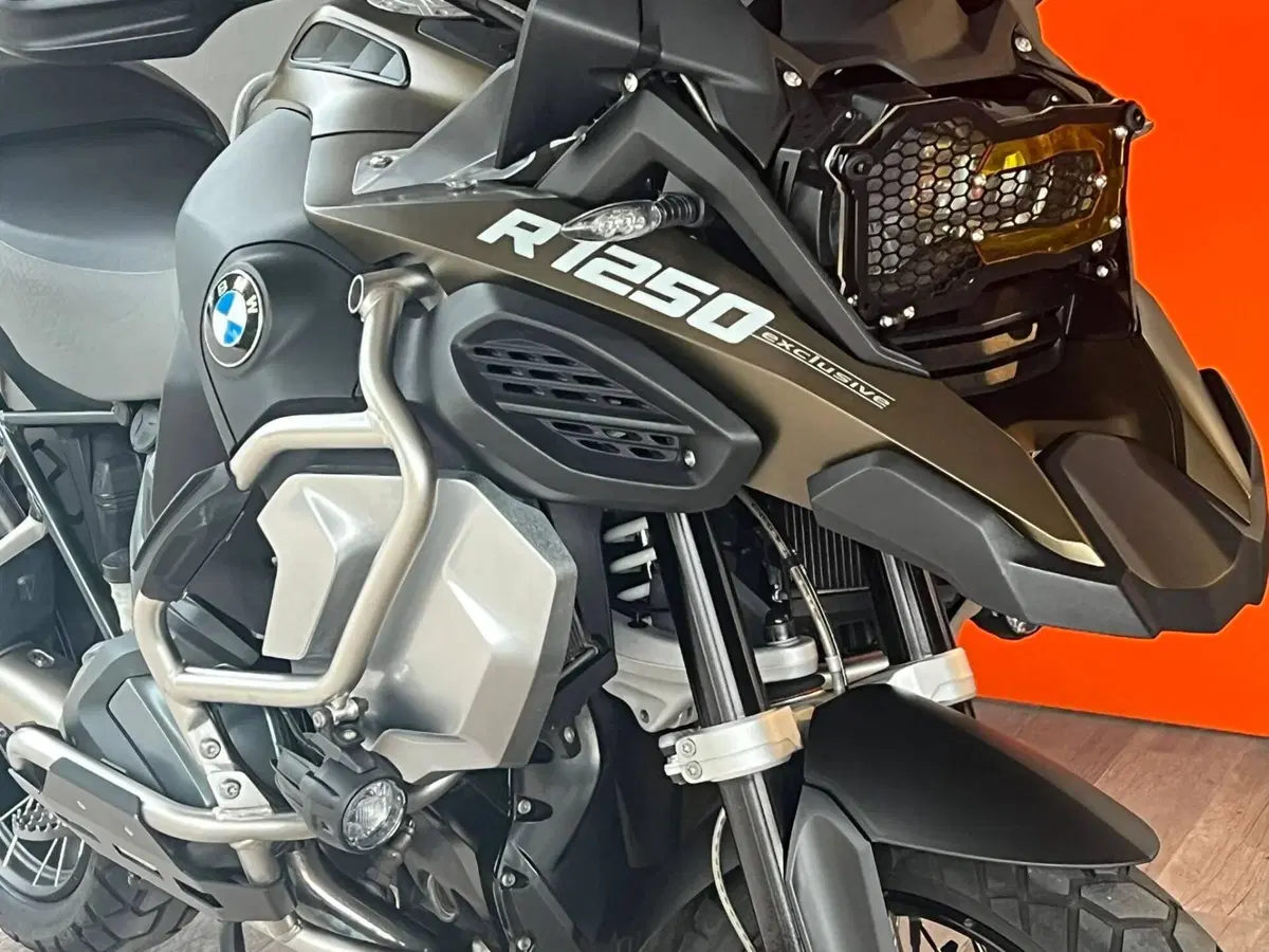 Bmw R 1250 GS Adventure (2019 - 20) (8)