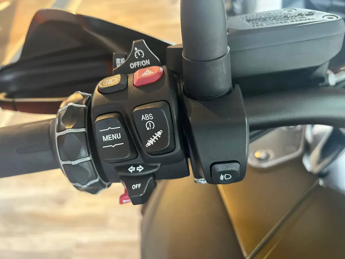 Bmw R 1250 GS Adventure (2019 - 20) (15)