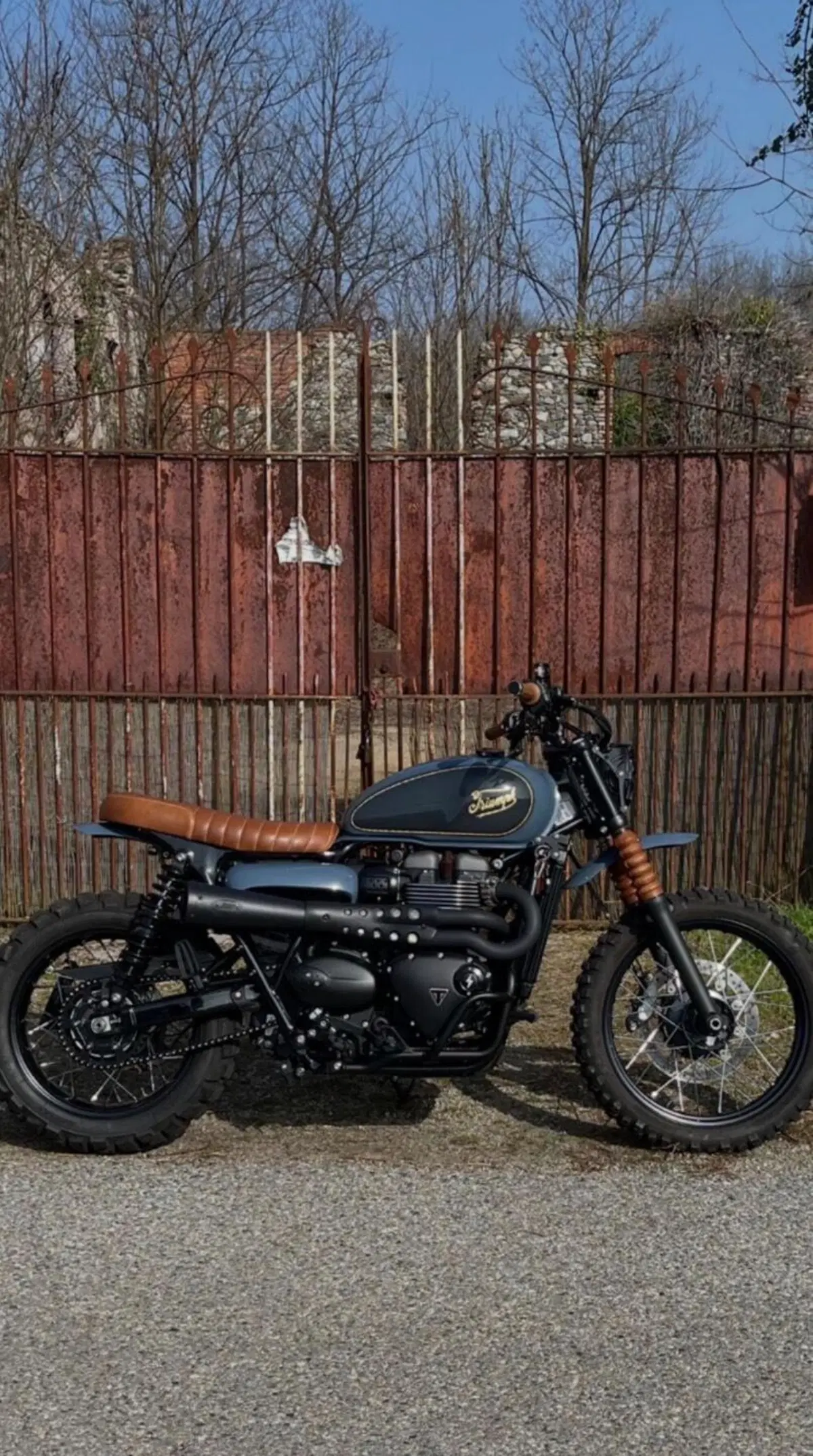 Triumph Street Scrambler 900 (2019 - 20) (6)