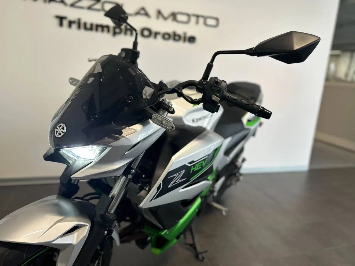Kawasaki Z7 Hybrid (2024 - 26) (6)