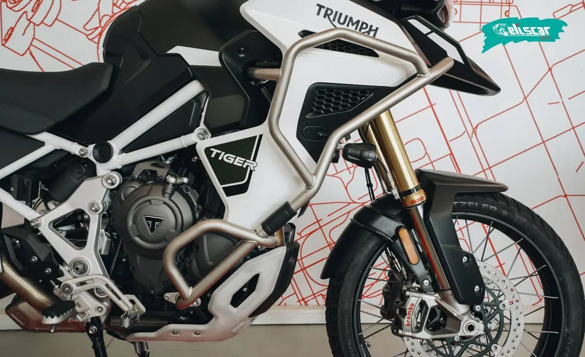 Triumph Tiger 1200 Rally Explorer (2024 - 26) (9)