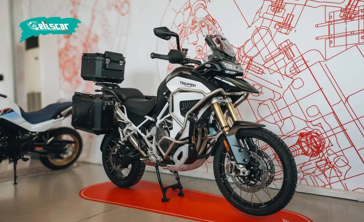 Triumph Tiger 1200 Rally Explorer (2024 - 26) (2)