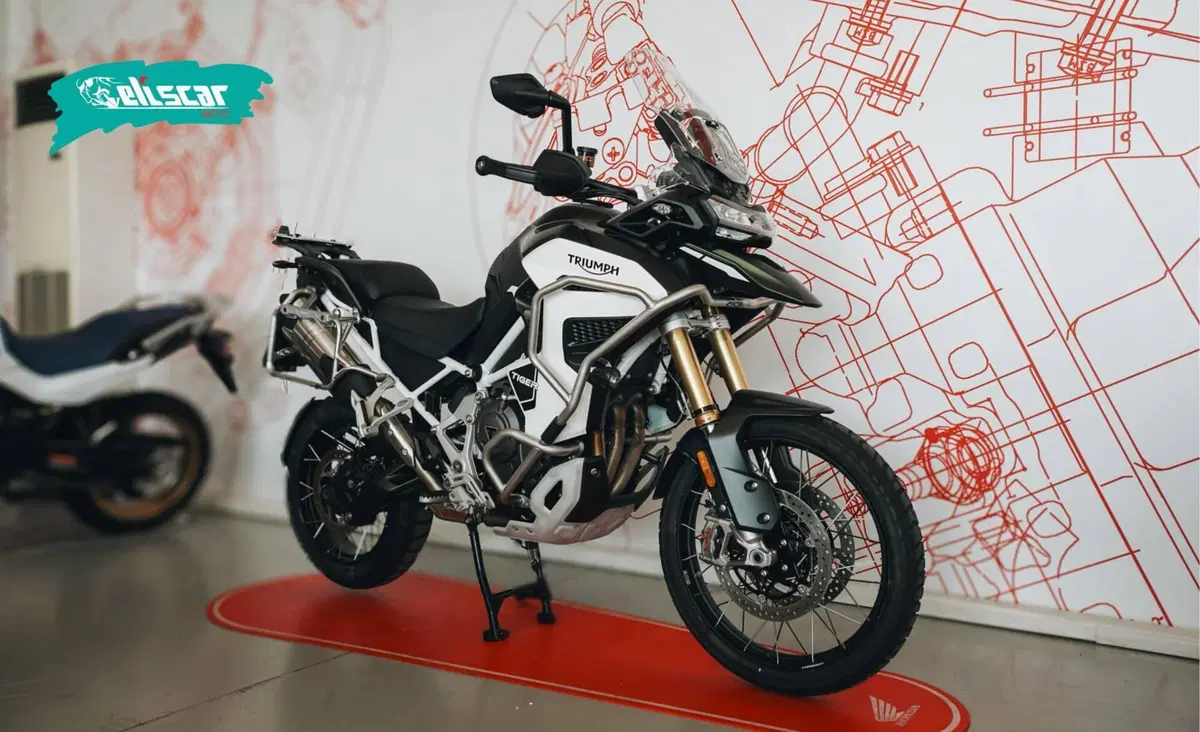 Triumph Tiger 1200 Rally Explorer (2024 - 26) (5)