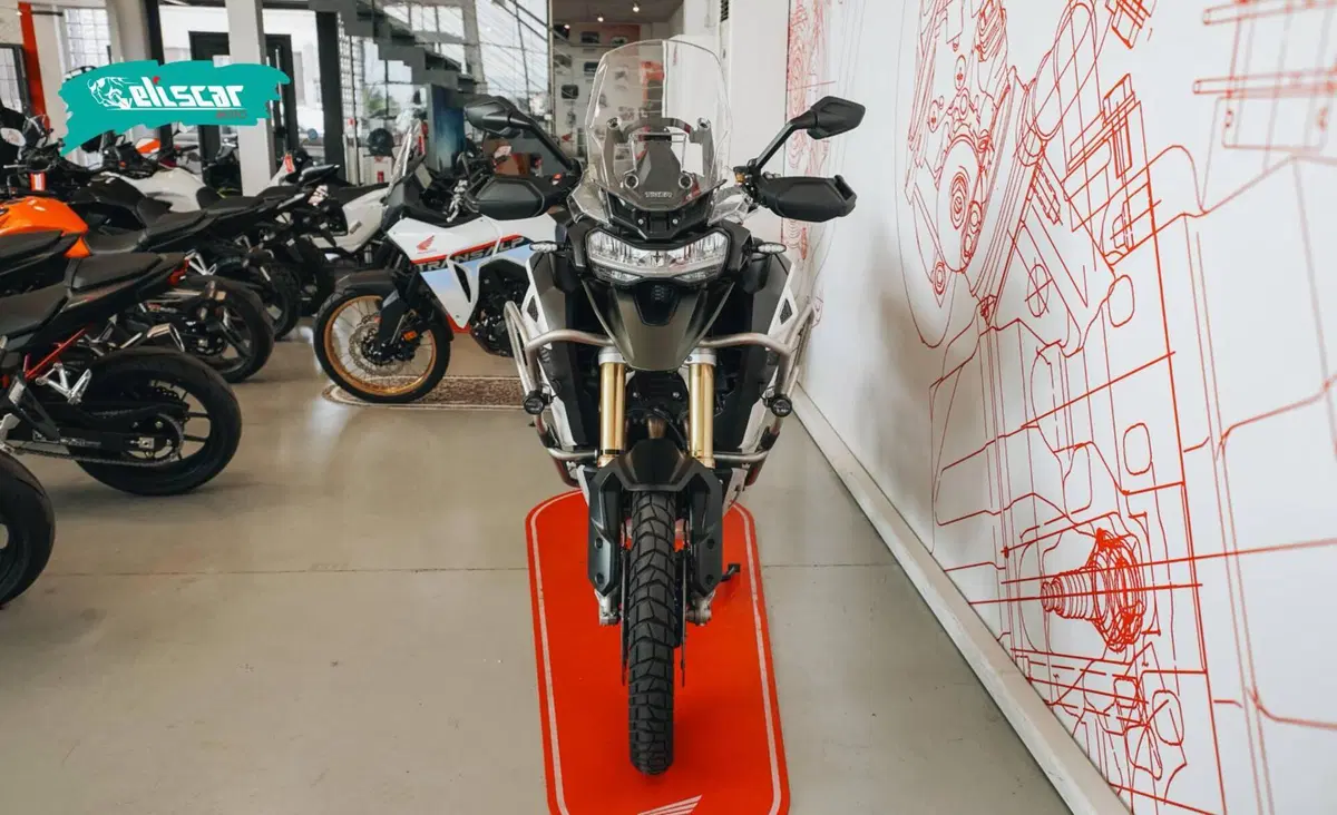 Triumph Tiger 1200 Rally Explorer (2024 - 26) (6)