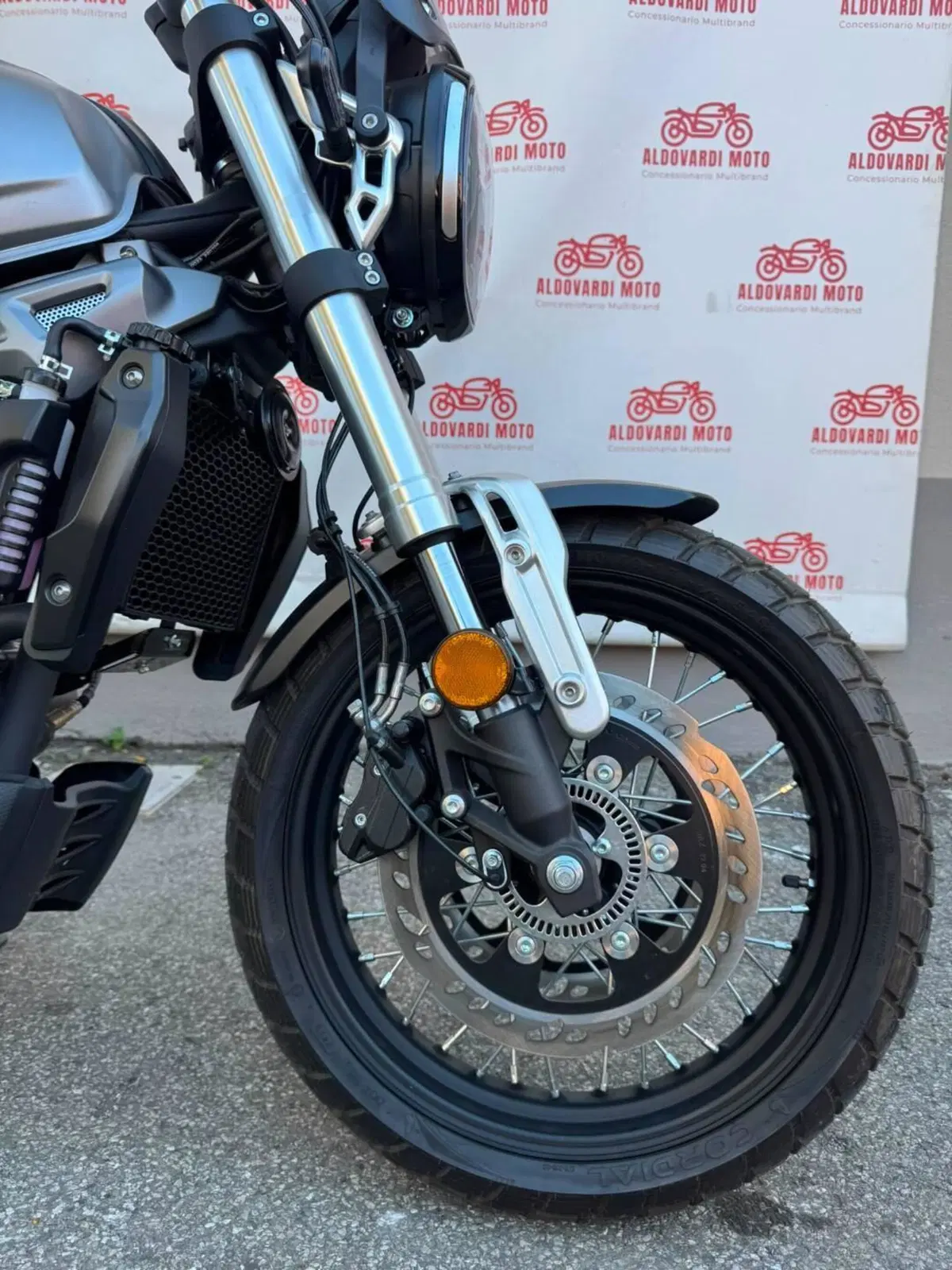 Voge Trofeo 300ACX Scrambler (2021 - 26) (3)