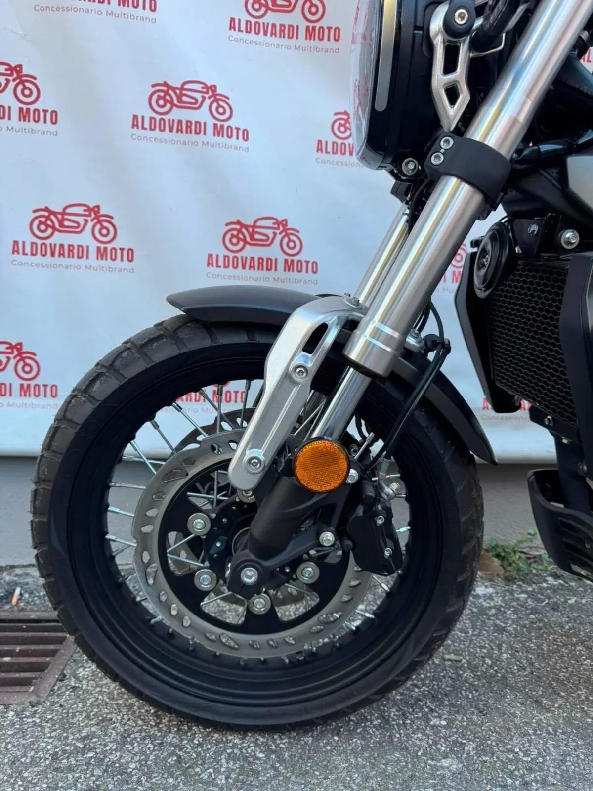 Voge Trofeo 300ACX Scrambler (2021 - 26) (6)