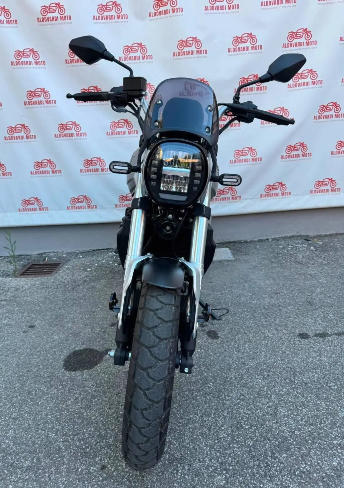 Voge Trofeo 300ACX Scrambler (2021 - 26) (7)