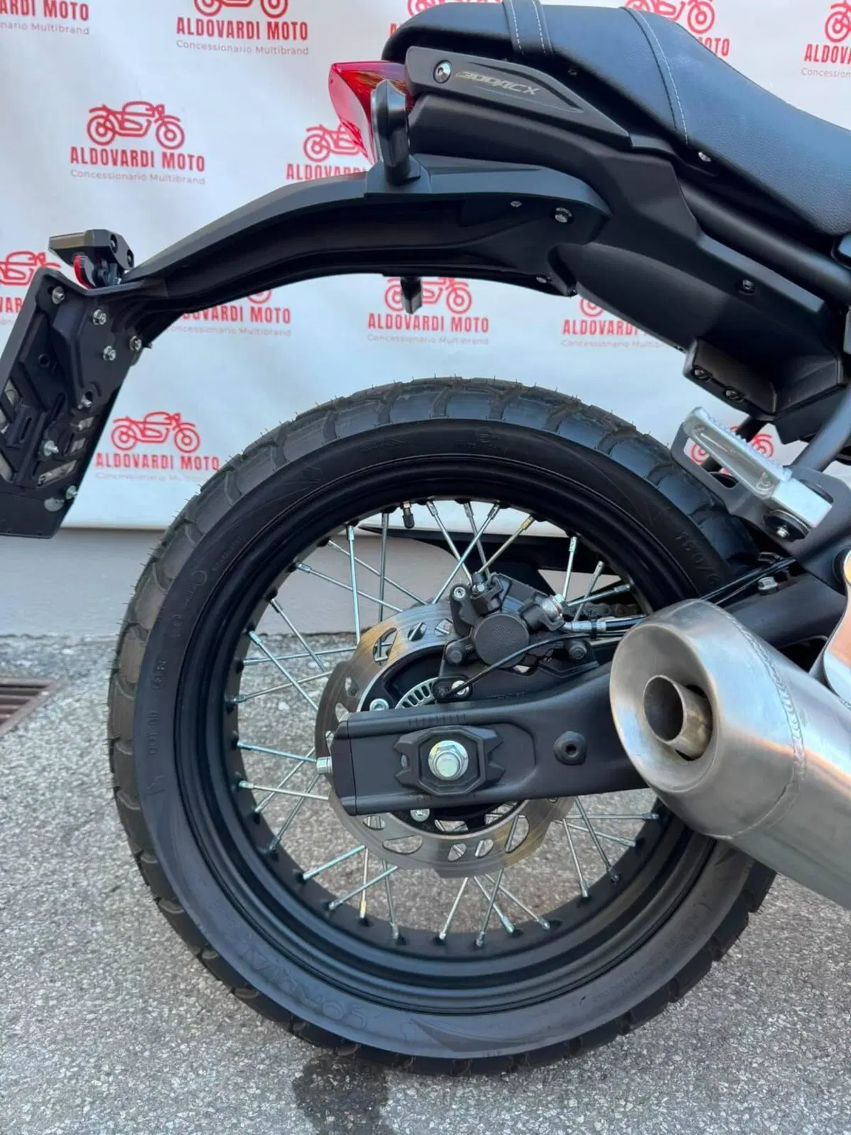 Voge Trofeo 300ACX Scrambler (2021 - 26) (9)