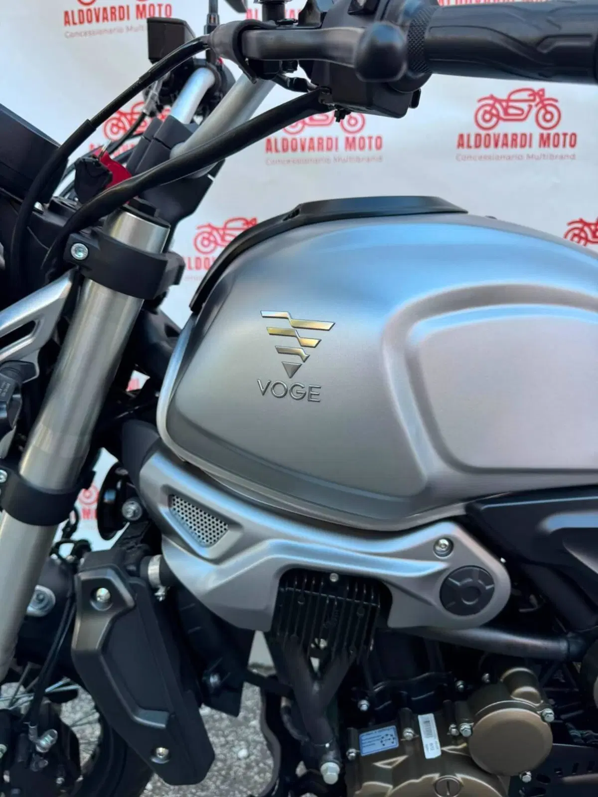 Voge Trofeo 300ACX Scrambler (2021 - 26) (11)