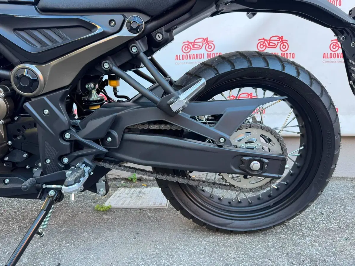 Voge Trofeo 300ACX Scrambler (2021 - 26) (12)