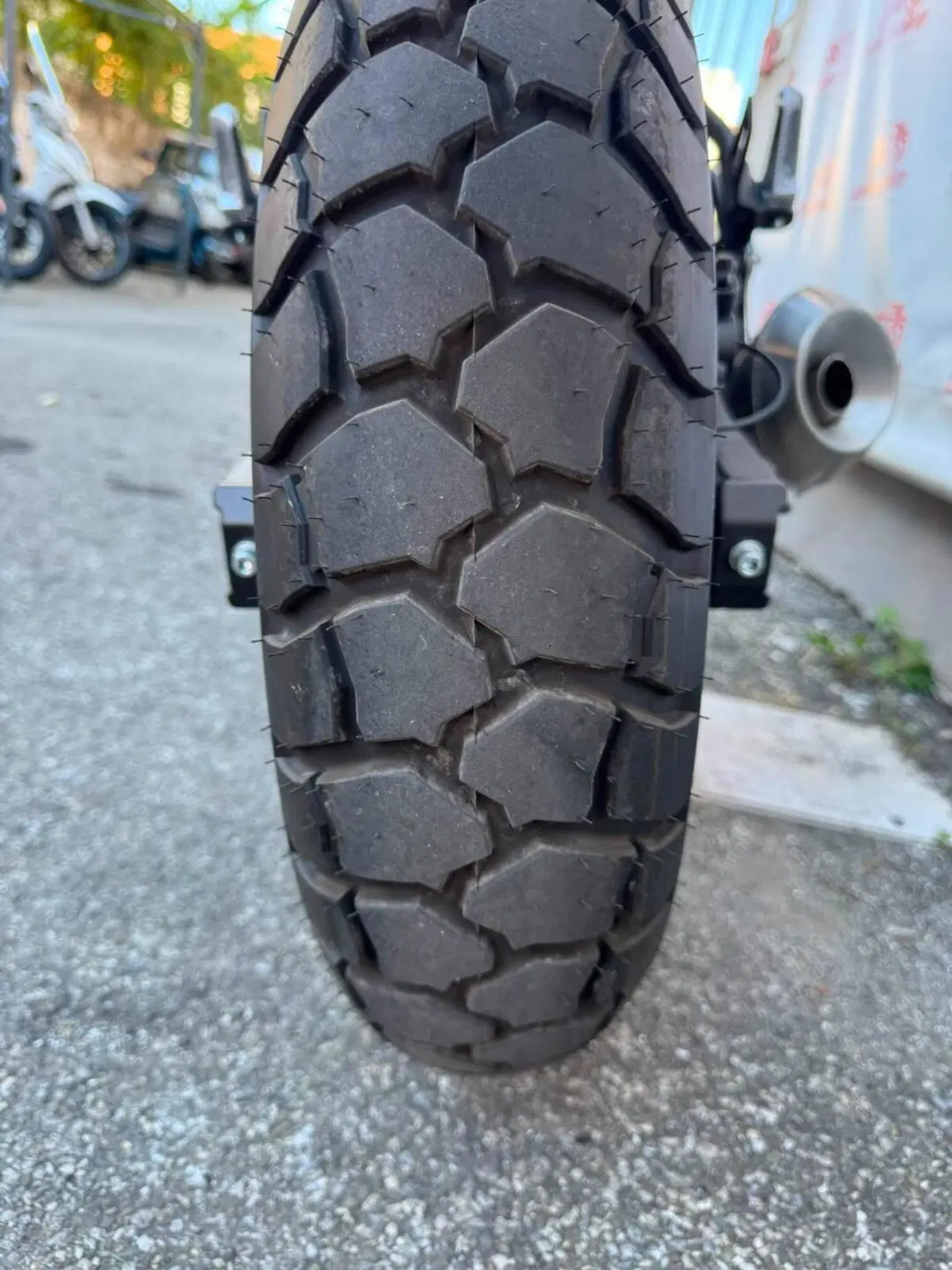Voge Trofeo 300ACX Scrambler (2021 - 26) (13)