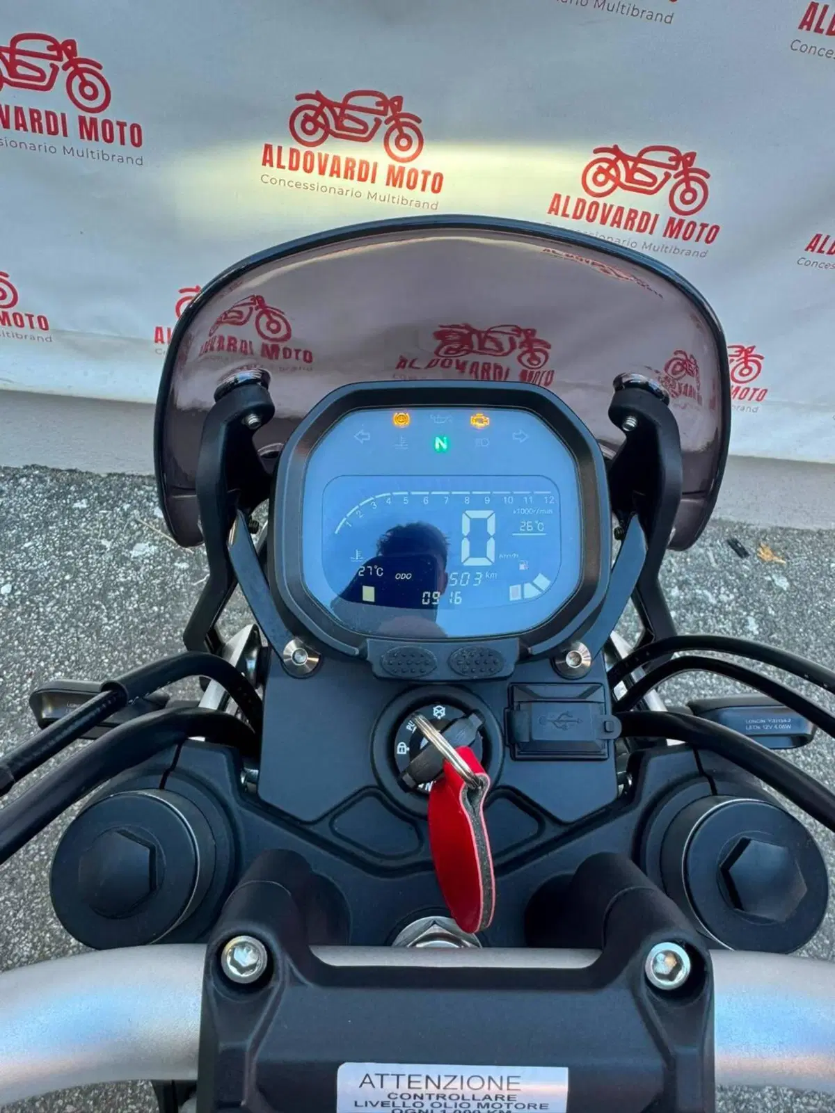 Voge Trofeo 300ACX Scrambler (2021 - 26) (14)