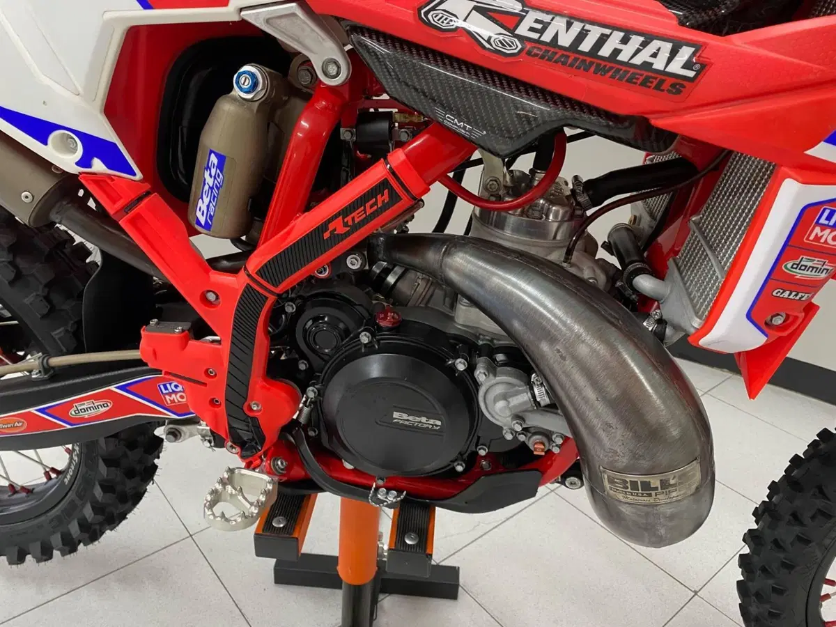 Betamotor RX 300 2T (2024 - 25) (3)