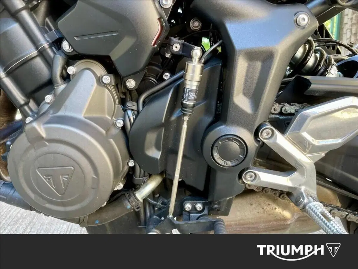 Triumph Trident 660 (2021 - 24) (6)