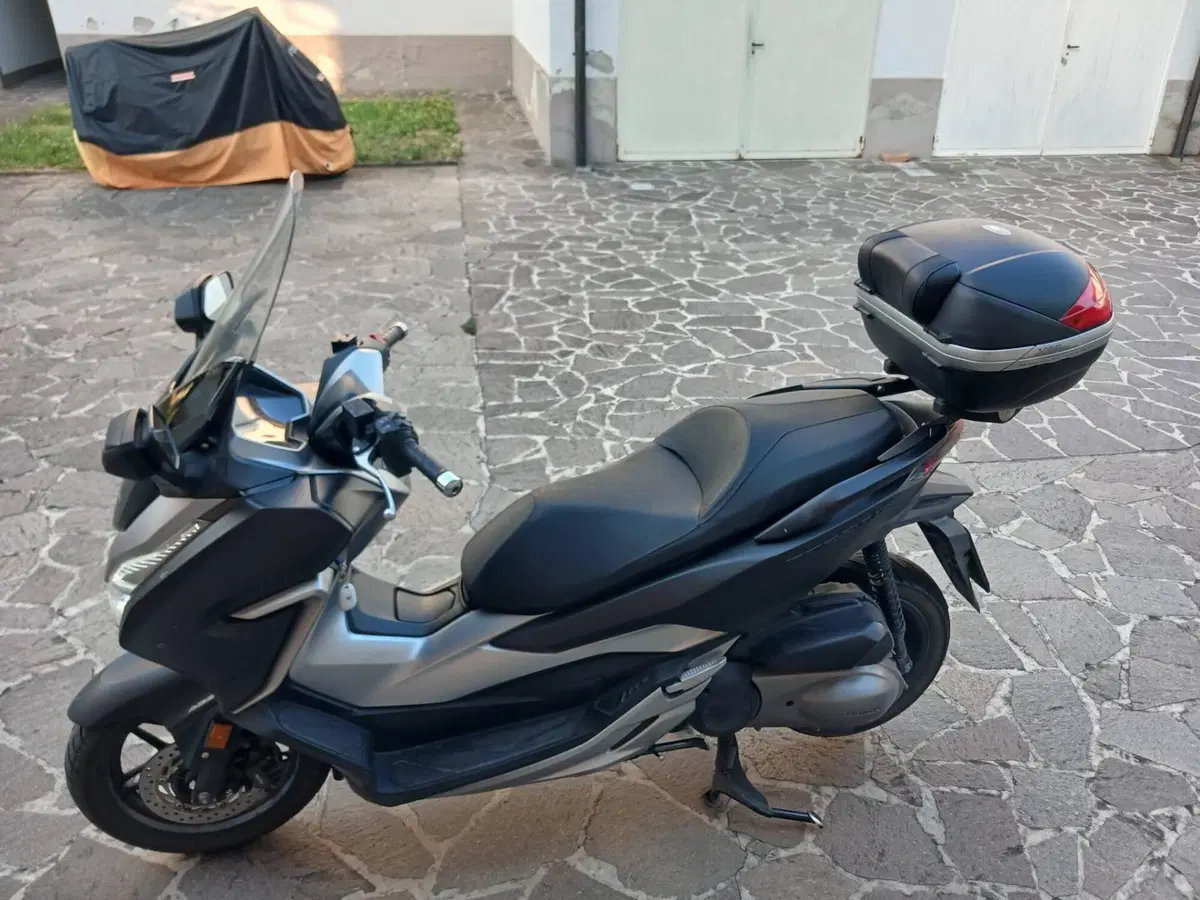 Honda Forza 300 ABS (2018 - 20) (6)