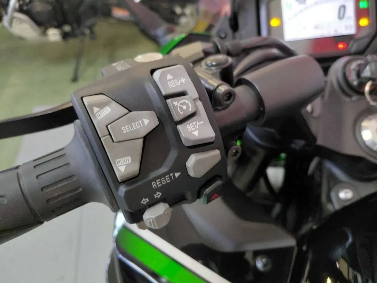 Kawasaki Ninja 1000 SX (2021 - 24) (5)