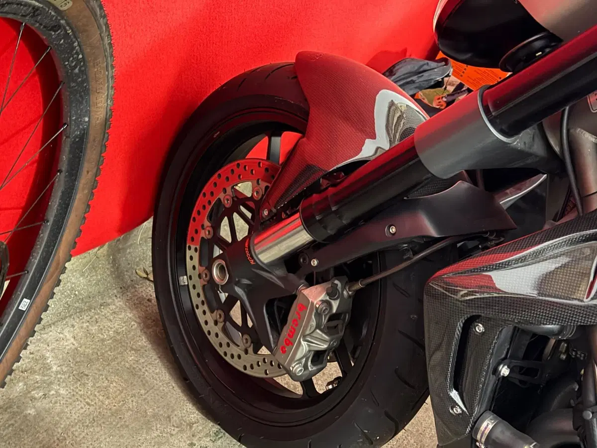 MV Agusta Brutale 1090 RR (2009 - 15) (8)