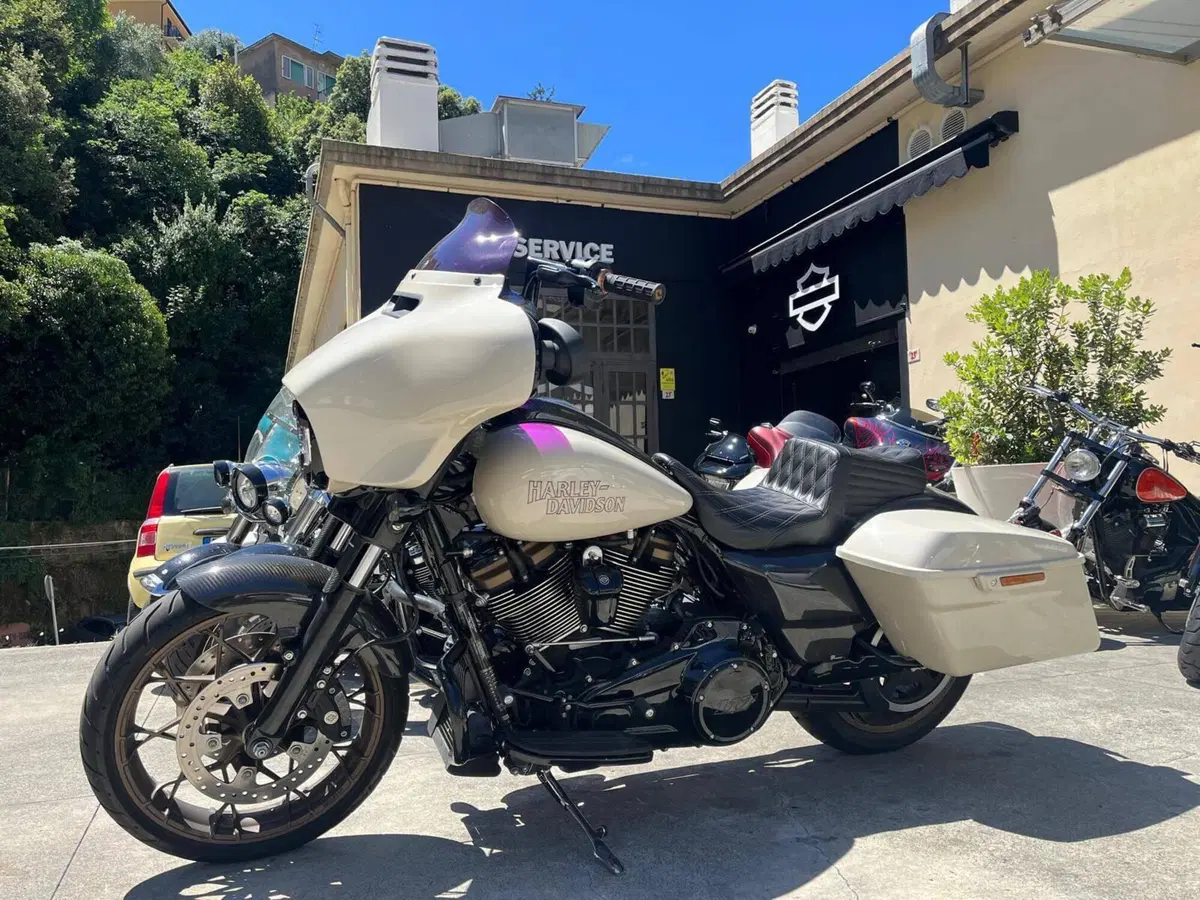 Harley-Davidson Street Glide ST (2022 - 23) (2)